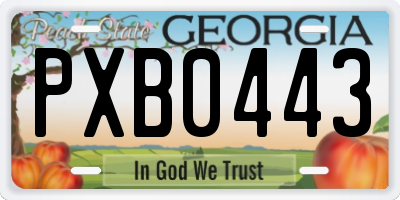 GA license plate PXB0443