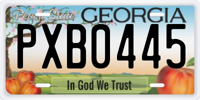 GA license plate PXB0445