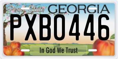 GA license plate PXB0446