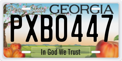 GA license plate PXB0447