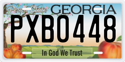GA license plate PXB0448