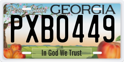 GA license plate PXB0449