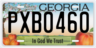 GA license plate PXB0460
