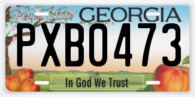 GA license plate PXB0473