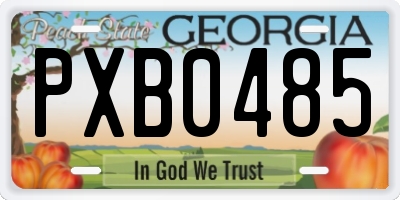 GA license plate PXB0485