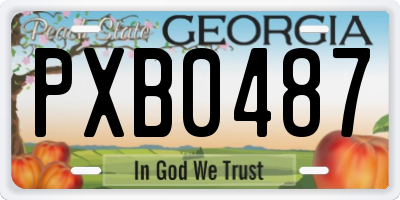 GA license plate PXB0487