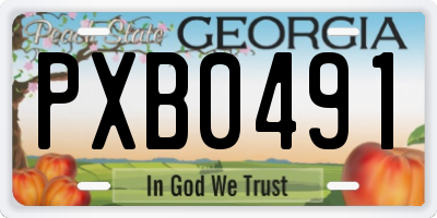 GA license plate PXB0491