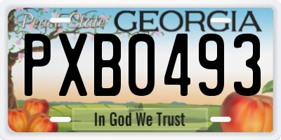 GA license plate PXB0493