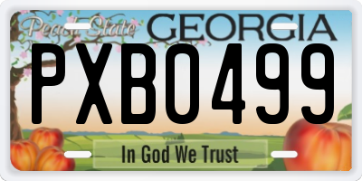 GA license plate PXB0499