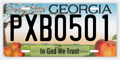 GA license plate PXB0501