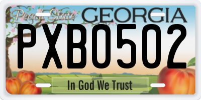 GA license plate PXB0502