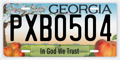 GA license plate PXB0504