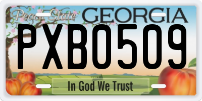 GA license plate PXB0509
