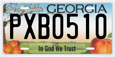 GA license plate PXB0510
