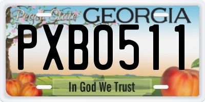 GA license plate PXB0511