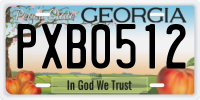 GA license plate PXB0512