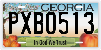 GA license plate PXB0513