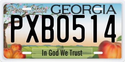GA license plate PXB0514
