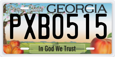 GA license plate PXB0515