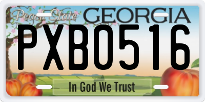 GA license plate PXB0516