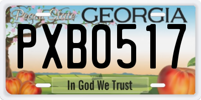 GA license plate PXB0517