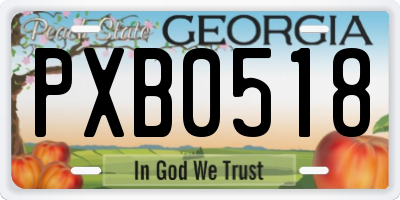 GA license plate PXB0518