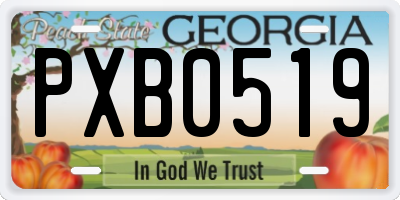 GA license plate PXB0519