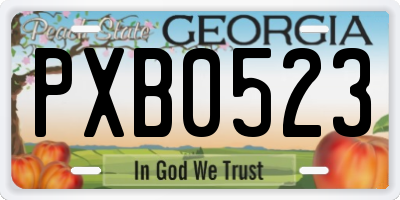 GA license plate PXB0523