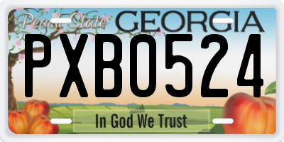 GA license plate PXB0524