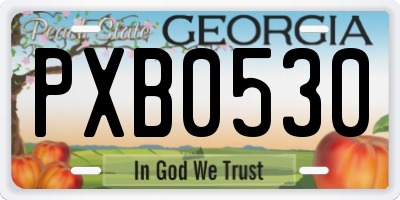 GA license plate PXB0530