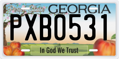 GA license plate PXB0531