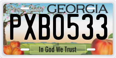 GA license plate PXB0533