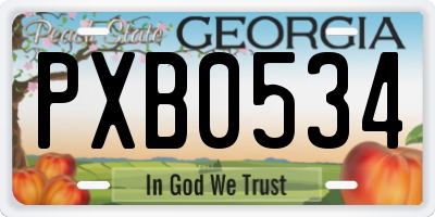 GA license plate PXB0534