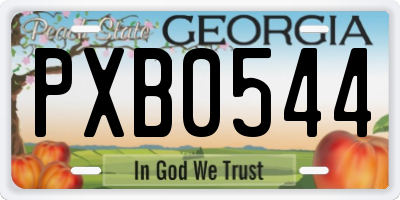 GA license plate PXB0544