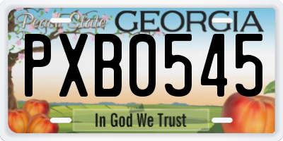 GA license plate PXB0545