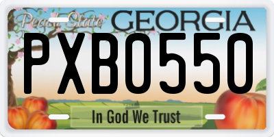 GA license plate PXB0550