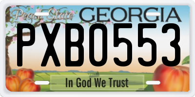 GA license plate PXB0553