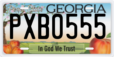 GA license plate PXB0555