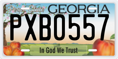 GA license plate PXB0557