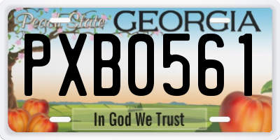 GA license plate PXB0561