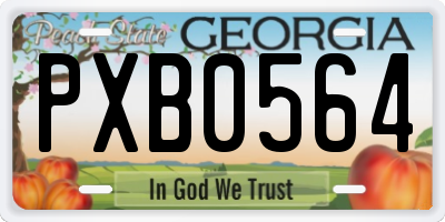 GA license plate PXB0564