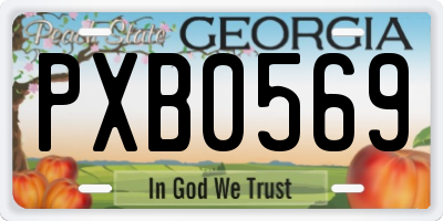 GA license plate PXB0569