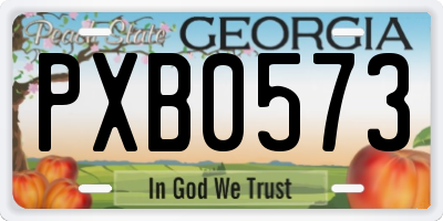 GA license plate PXB0573