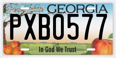 GA license plate PXB0577