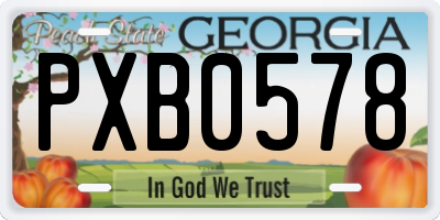 GA license plate PXB0578