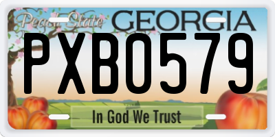 GA license plate PXB0579