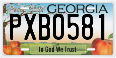 GA license plate PXB0581