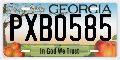 GA license plate PXB0585