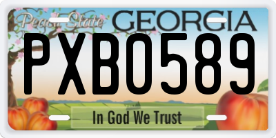 GA license plate PXB0589