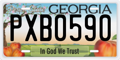 GA license plate PXB0590